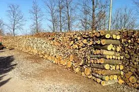 Grossisti legnami in tronchi - Preventivi e trasporto