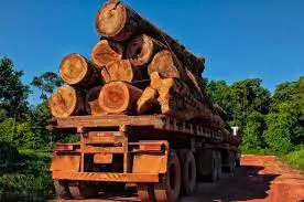 Importatore di legname - Preventivi Trasporto