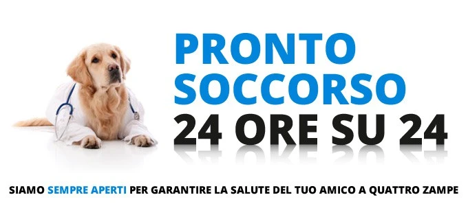 pronto soccorso Veterinario Ascoli Piceno - Soccorsi - Intervento - Cure
