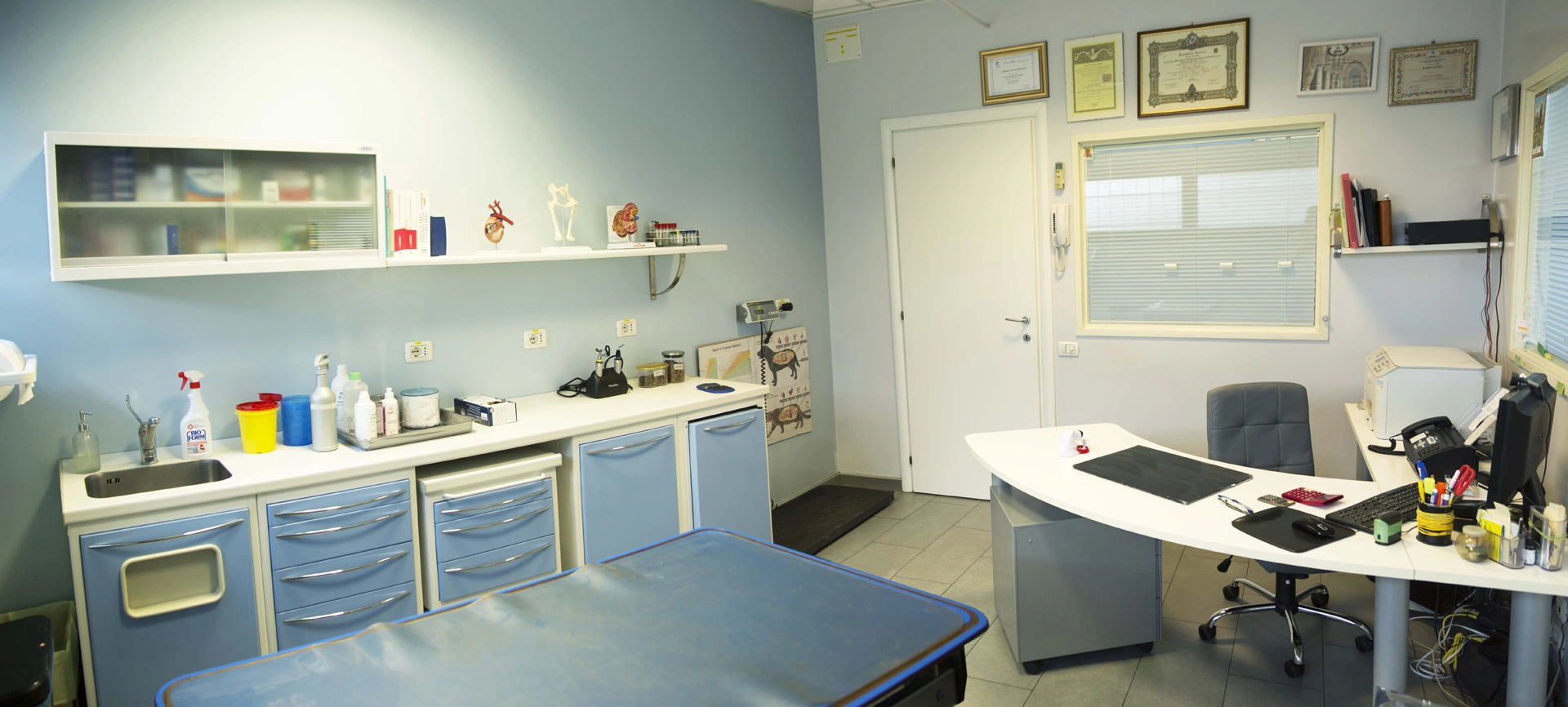 clinica Veterinaria Avellino - Soccorsi - Intervento - Cure