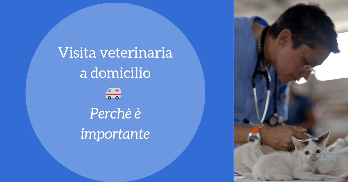 Veterinario Domicilio Firenze