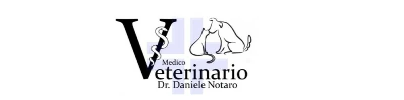 clinica veterinaria Palermo - clinica-veterinaria-palermo