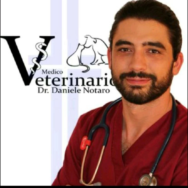 clinica veterinaria Palermo