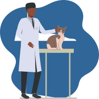 Veterinario